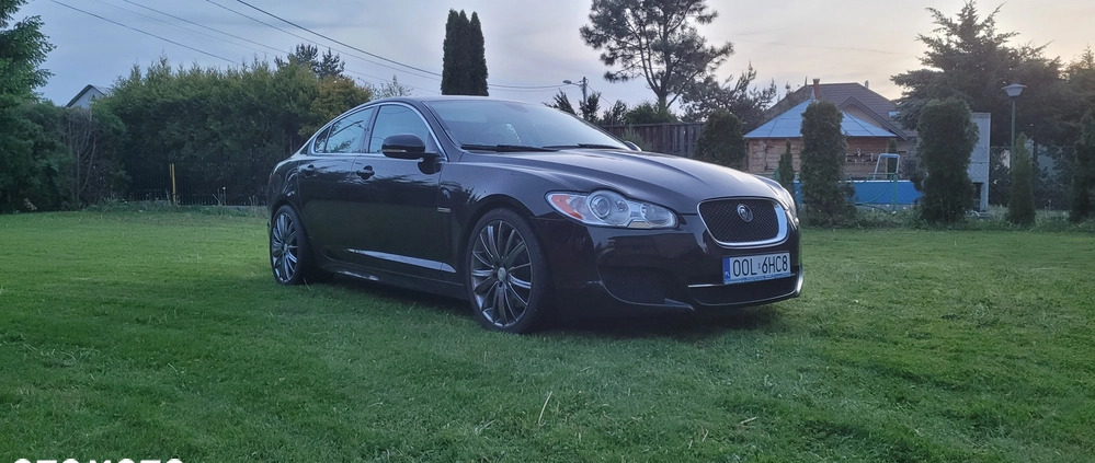 Jaguar XF cena 40000 przebieg: 151000, rok produkcji 2010 z Biecz małe 301